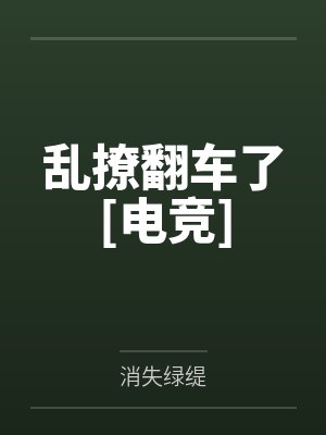 乱撩是会被队抓走的小说讲了什么故